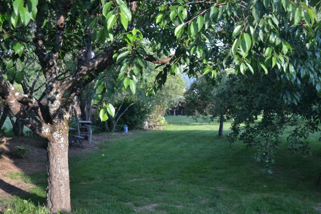 Maison Du Chien Vert Corbion Kültér fotó